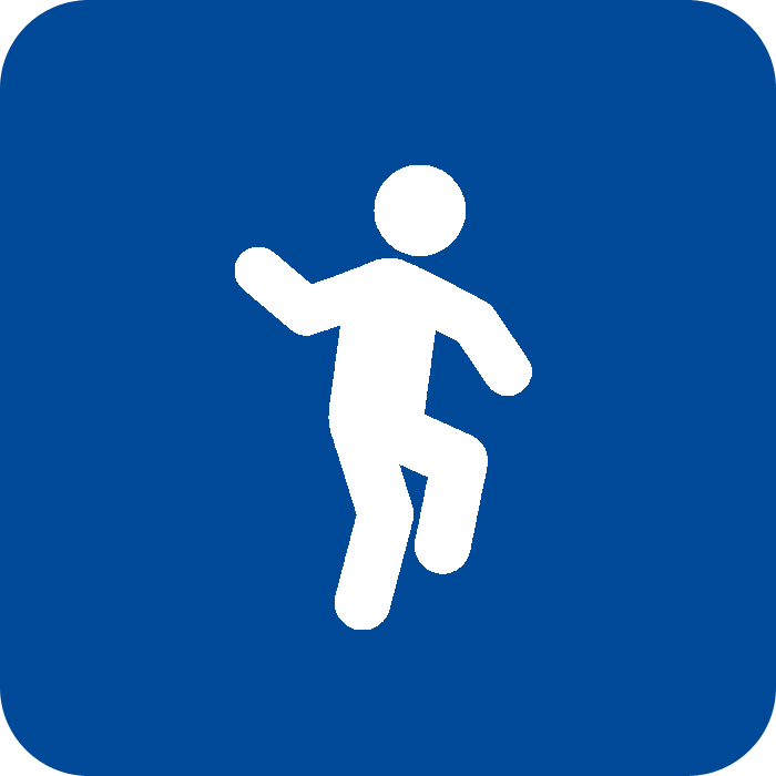motion icon